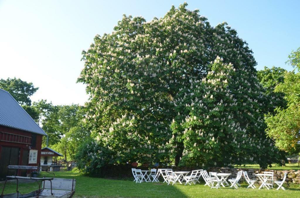 Guesthouset Rosenborgs Friluftspensionat